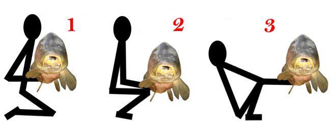 Net stuff - 4241503747153425582661952004764n.jpg